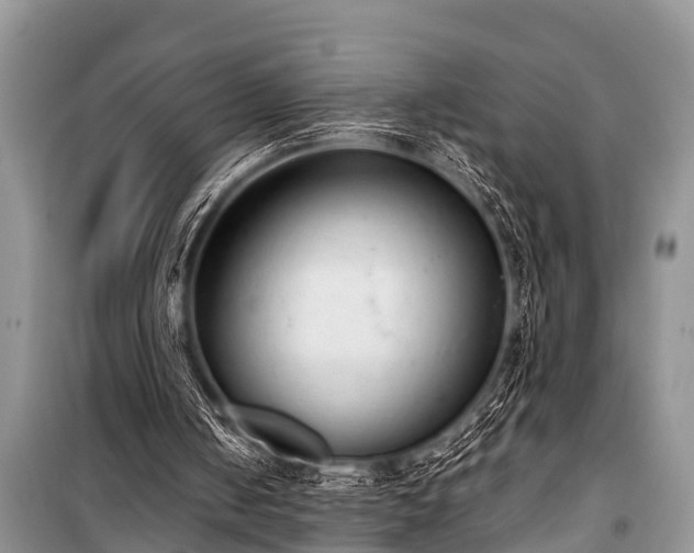 X0000100960050200807011342