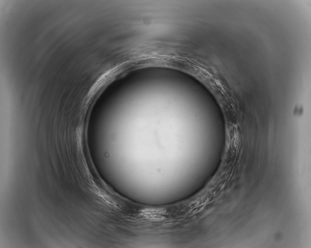 X0000100960051200807011342