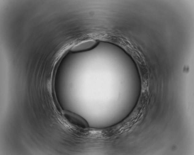 X0000100960052200807011342