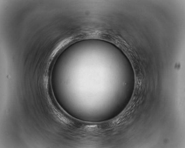 X0000100960054200807011342