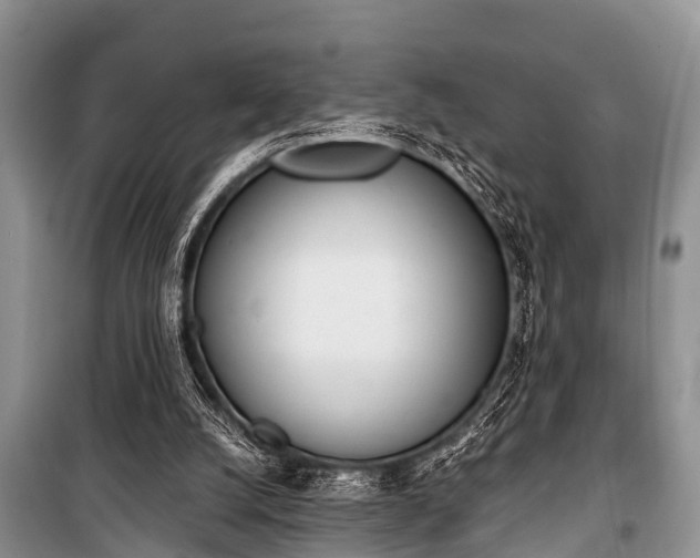 X0000100960056200807011342