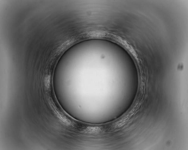 X0000100960057200807011342