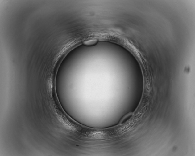 X0000100960059200807011342