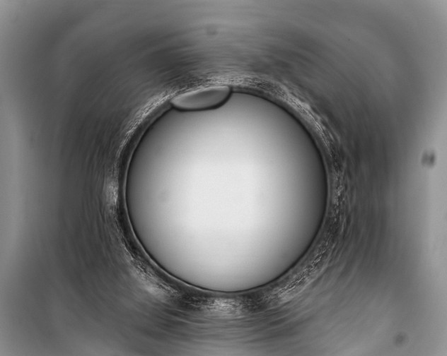 X0000100960060200807011342