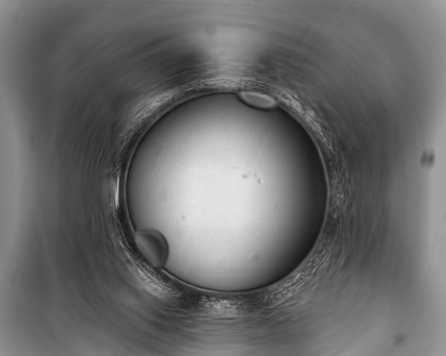 X0000100960062200807011342