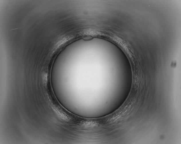 X0000100960063200807011342