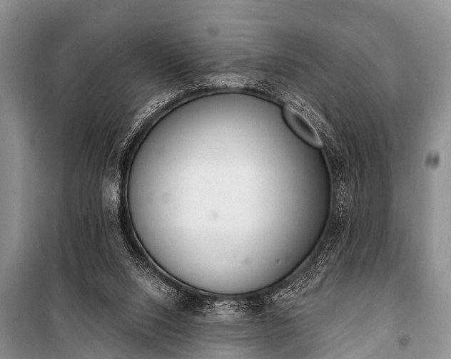 X0000100960064200807011342