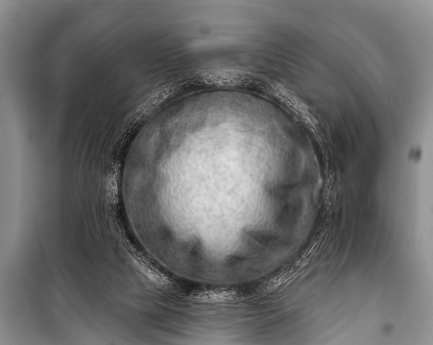 X0000100960065200807011342