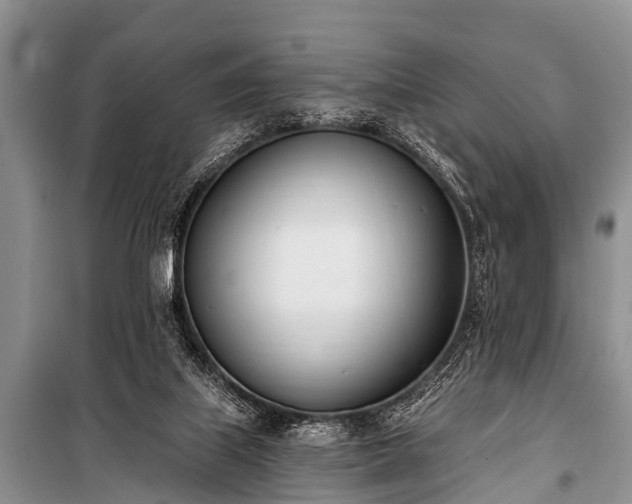 X0000100960067200807011342