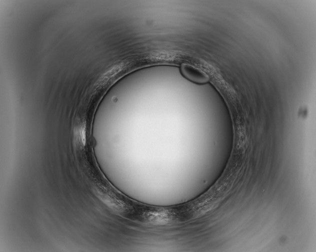 X0000100960068200807011342
