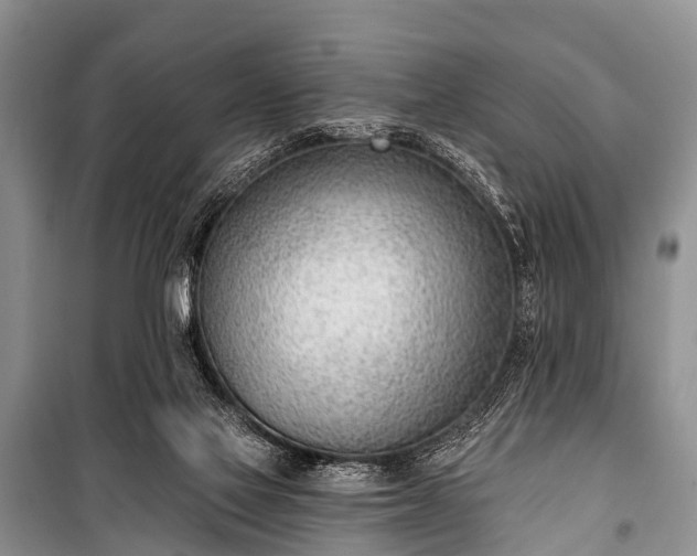 X0000100960069200807011342