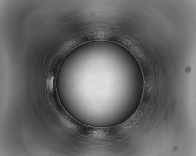 X0000100960070200807011342