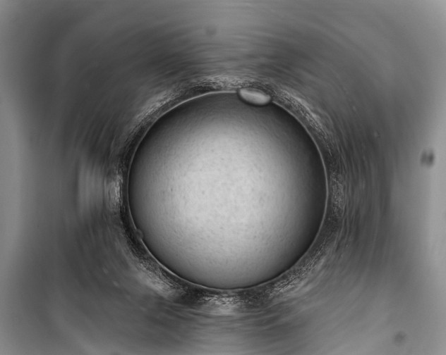 X0000100960071200807011342