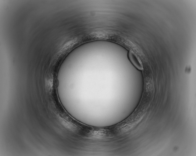 X0000100960072200807011342