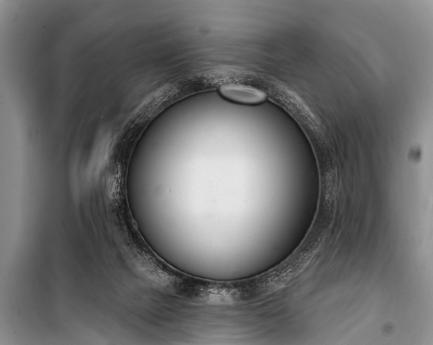 X0000100960073200807011342