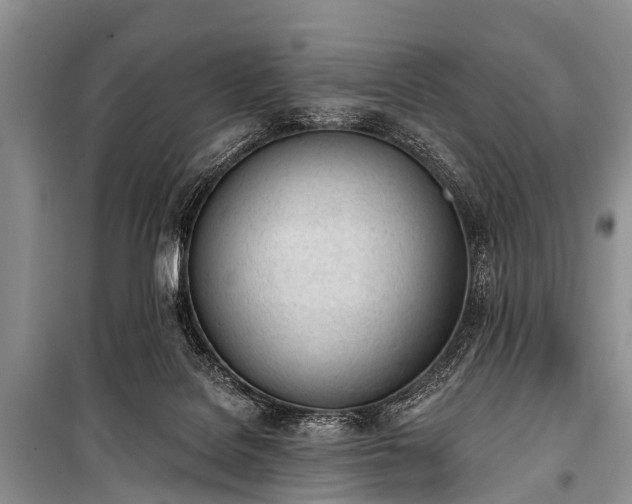 X0000100960076200807011342