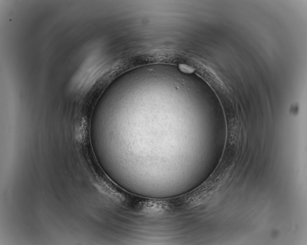 X0000100960077200807011342