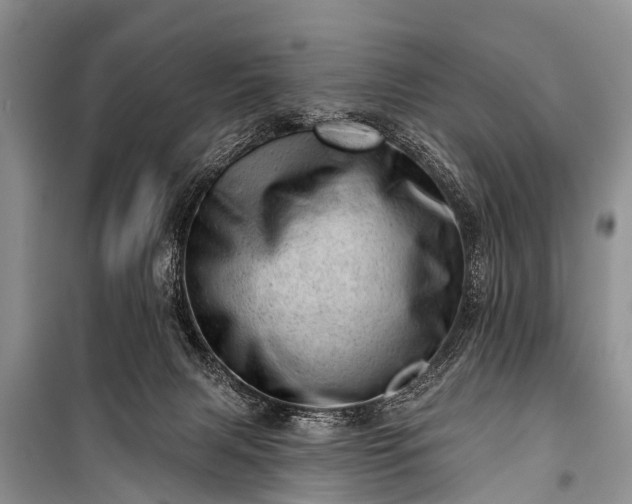X0000100960079200807011342