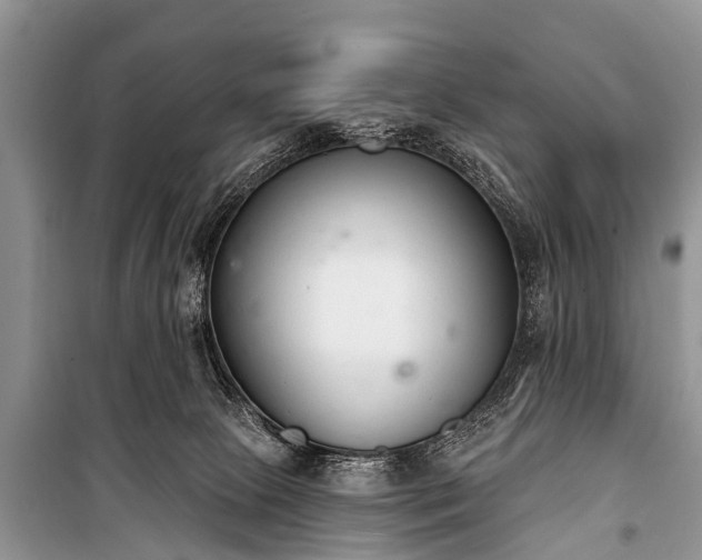 X0000100960081200807011342