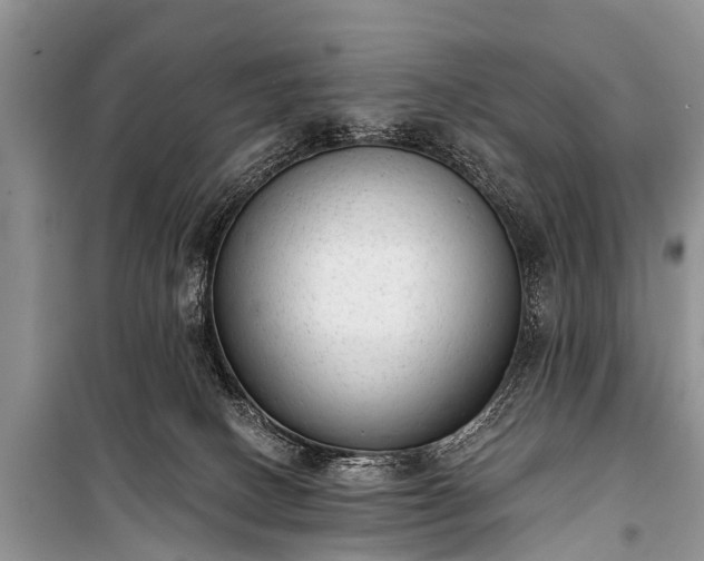X0000100960082200807011342