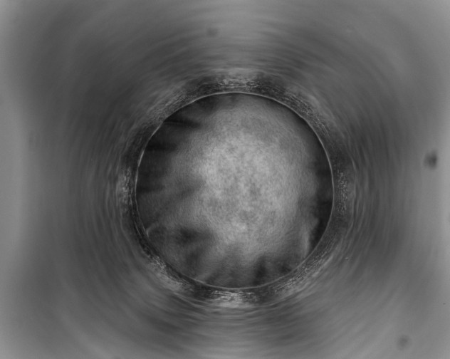 X0000100960083200807011342