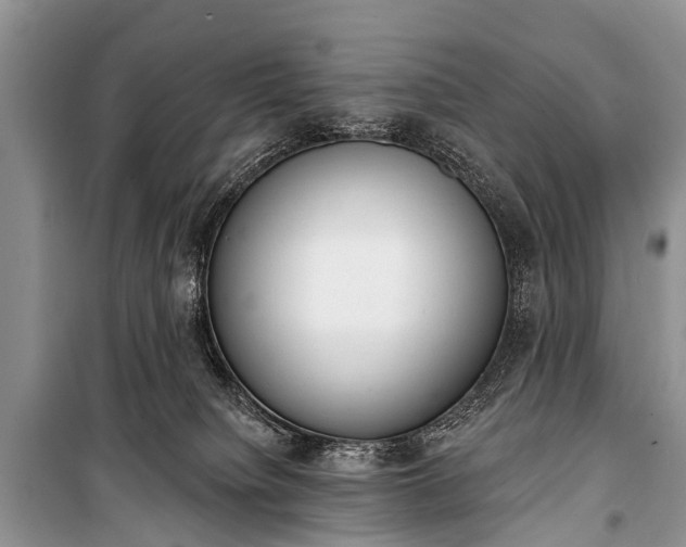 X0000100960084200807011342