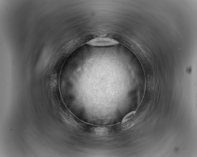X0000100960085200807011342