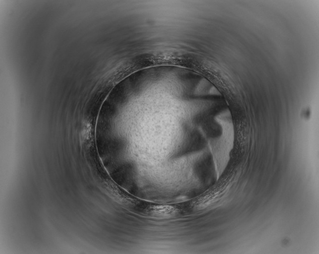 X0000100960087200807011342