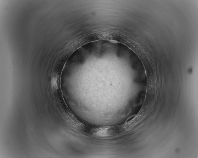X0000100960090200807011342