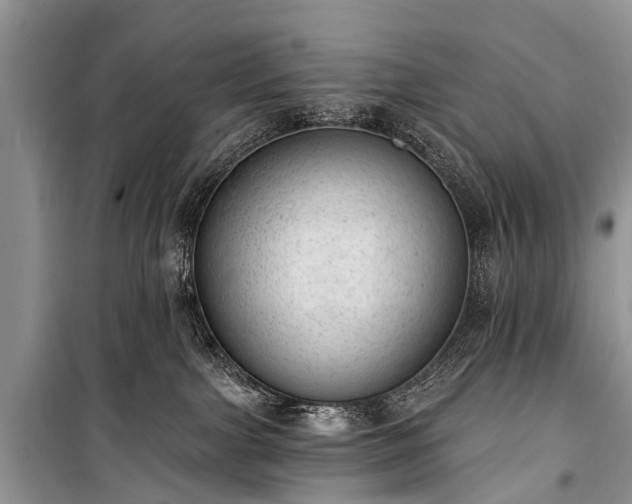 X0000100960091200807011342