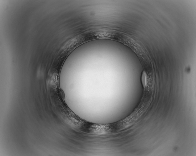 X0000100960093200807011342