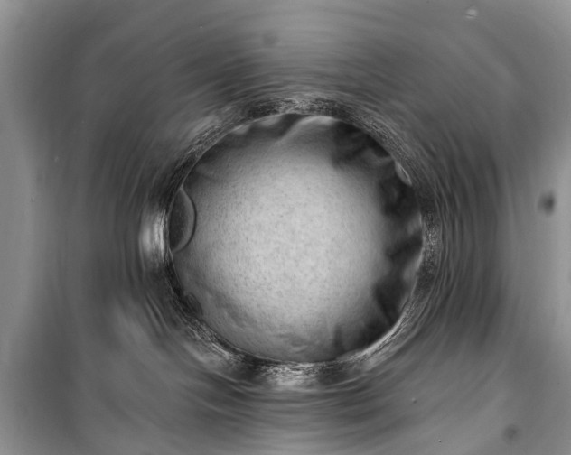 X0000100960094200807011342