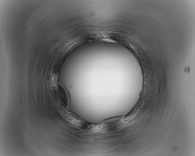 X0000100960096200807011343