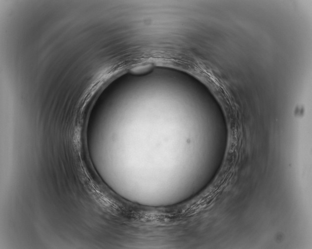X0000100960098200807011342