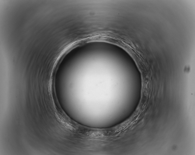 X0000100960100200807011342