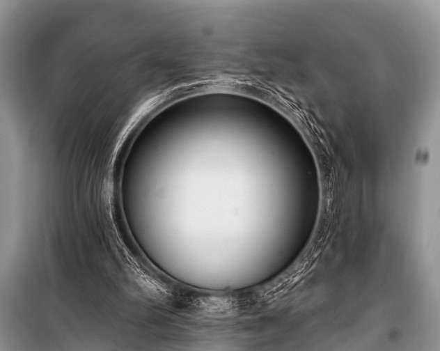 X0000100960102200807011342