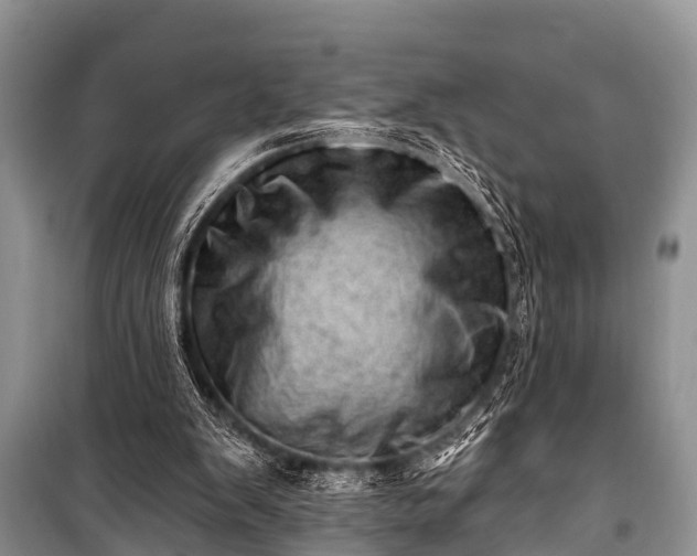 X0000100960103200807011342