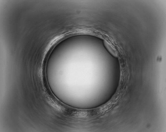X0000100960104200807011342