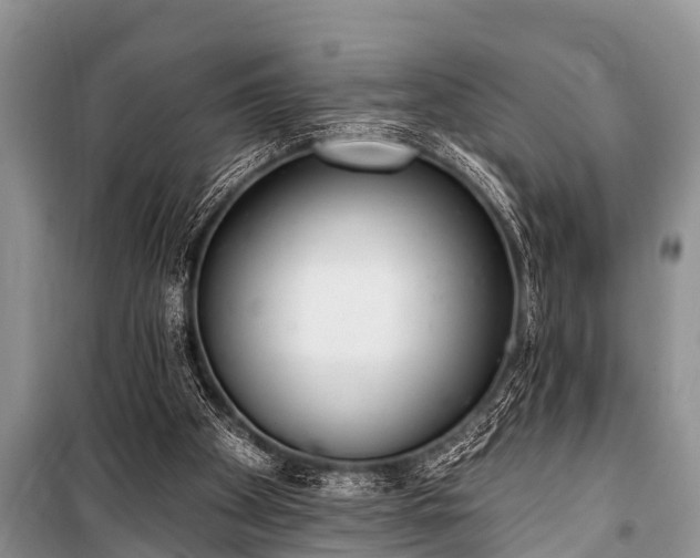 X0000100960105200807011342