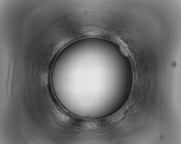 X0000100960106200807011342