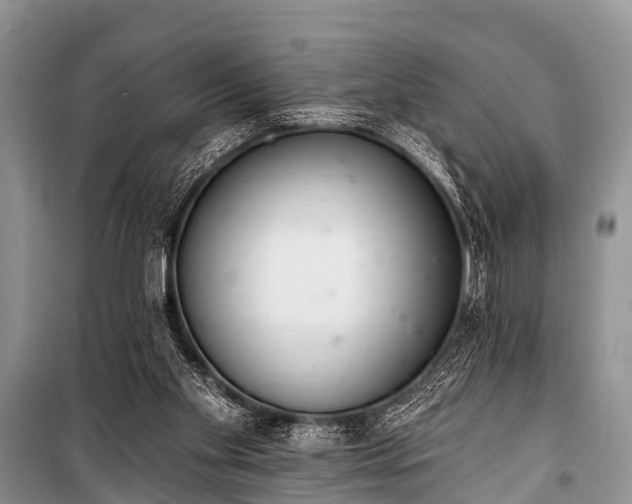 X0000100960109200807011342