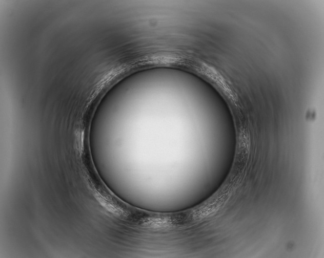 X0000100960110200807011342