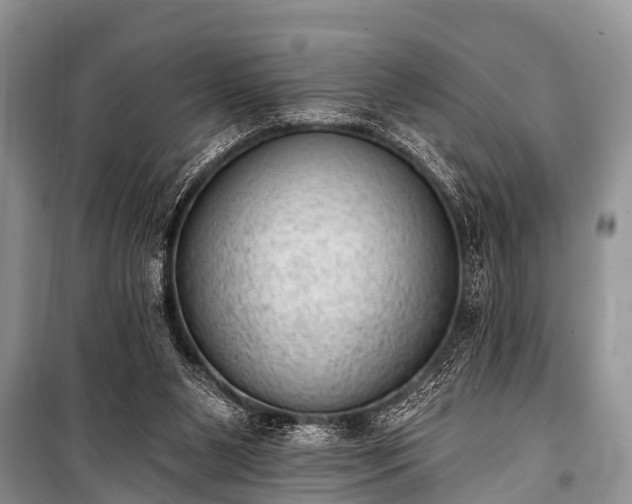 X0000100960111200807011342
