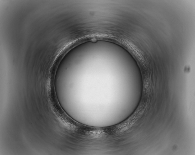 X0000100960112200807011342
