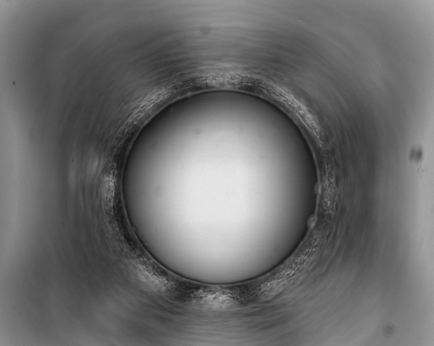 X0000100960113200807011342
