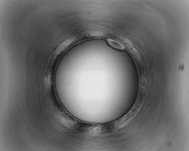 X0000100960116200807011342