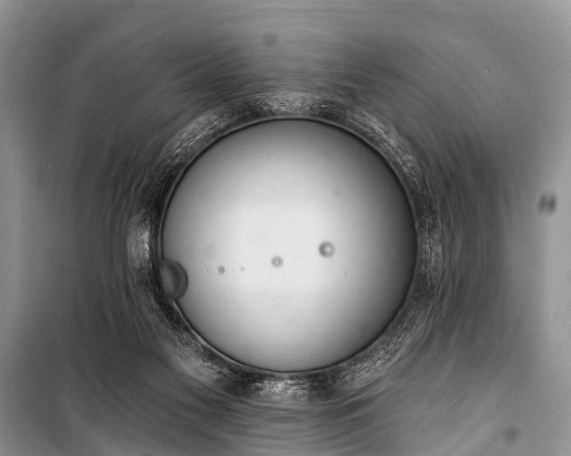 X0000100960117200807011342