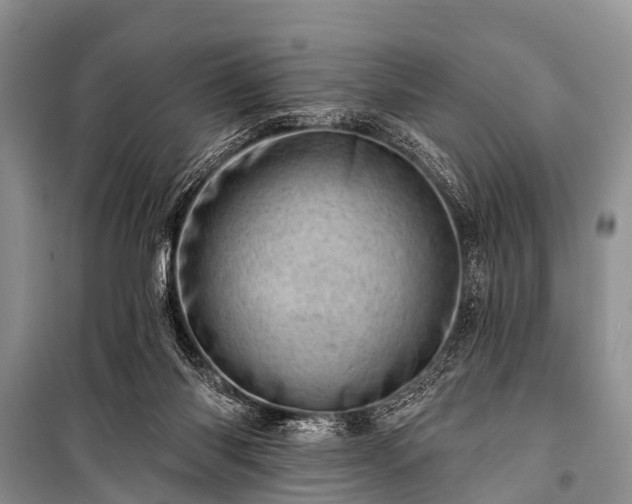 X0000100960118200807011342