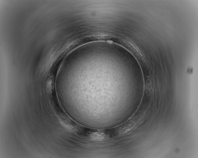 X0000100960119200807011342