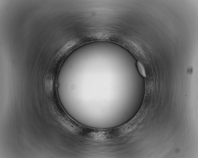 X0000100960120200807011342